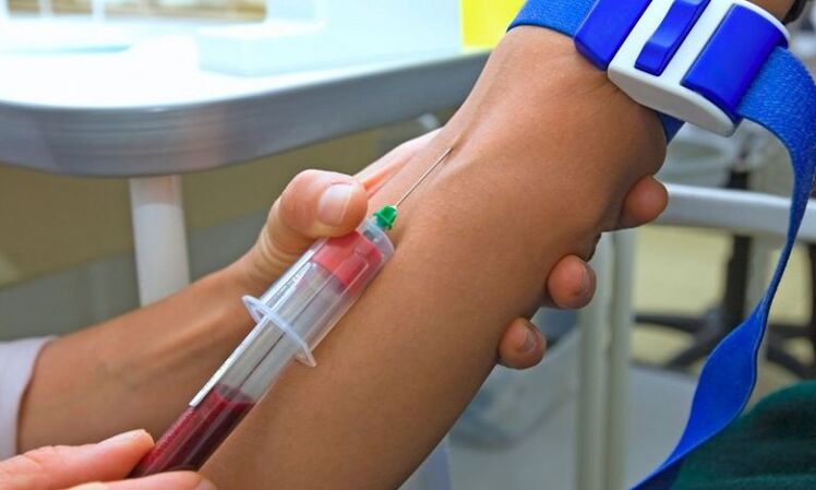 Tomar sangue para a análise dun can con prostatite